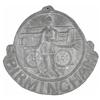 Image 1 : Birmingham Fire Mark, Fireman and Pumper