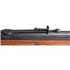 Image 2 : Scarce Winchester Model 53 Lever Action Rifle