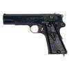 Image 1 : Excellent Radom Model 35 Nazi Proofed Semi-Automatic Pistol with Nazi Proofs and Extra Magazine