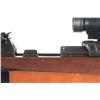 Image 4 : Experimental WWII German G43 (ac44) Code Semi-Automatic Sniper Rifle with Rare Extra Length Barrel