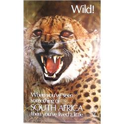Travel Posters, South Africa, Poster