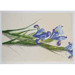 Carol Ann Bolt, Irises, Lithograph