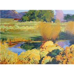 Raymond Vinella, Southwest Textures, Serigraph