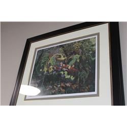 Limited Edition Print