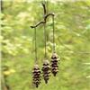 Image 1 : Triple Pinecone Wind Chime