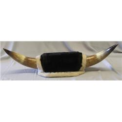 Buffalo Horns
