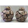 Image 1 : Pr Chinese Porcelain Ginger Jars