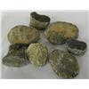 Image 2 : 7 Trilobite Fossils