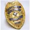 Image 1 : Security Wells Fargo Services Badge 94725