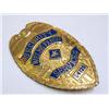 Image 2 : Security Wells Fargo Services Badge 94725
