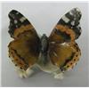 Image 1 : German JHF Fine Porcelain Butterfly