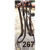 Image 1 : studded headstall & martengale