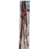 Image 1 : US 1909 pattern bridle with #3 bit