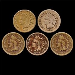 1862 Indian Cent Lot of 5 Better Circulated (COI-7452)