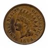 Image 1 : 1894 Indian Cent Higher Grade (COI-7510)