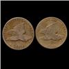Image 1 : 1858 Flying Eagle Cent Pair Better Circulated (COI-7439)