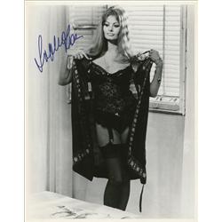 Sophia Loren
