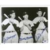 Image 1 : Mantle, Williams, and DiMaggio