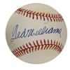 Image 1 : Ted Williams