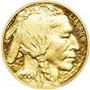 2006-W. $50 Buffalo 1 oz Gold