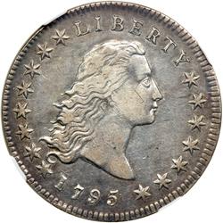 1795 Flowing Hair $1 NGC EF45