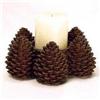 Image 1 : Pinecone Ring Candle Holder