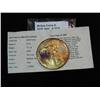 Image 1 : 1676. 2006 American Silver Eagle Partially Gold Plated in holder from 