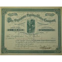 Globe,AZ - Feb 17, 1880 - Sycamore Spring Water Co. Stock Certificate :  