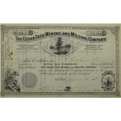 Pinal County,AZ - June 2, 1881 - Cedar Tree Mining and Milling Company Stock  *Territorial* :  