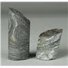 Image 1 : (2) Fossil Paper Weights