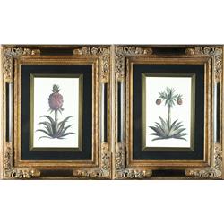 Pr. Of Ornate Frames with Prints