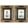 Image 1 : Pr. Of Ornate Frames with Prints