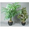Image 1 : (2) Black Ceramic Pots with Faux Trees