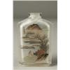 Image 1 : Chinese Painted Glass Snuff Bottle