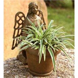 Angel with Pot Planter