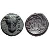 Image 1 : Phokis. Bronze, struck under Phayllos (?), 352 - 351 (?) BC. AE 2.71 g., 12'.