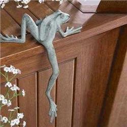 Froggy Longlegs Shelf Sitter