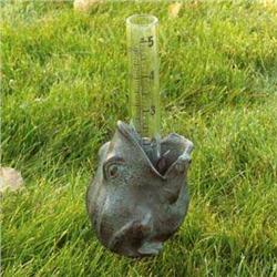 Big Mouth Frog Rain Gauge