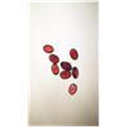 Six 1/2 Carat Oval Cut Garnets