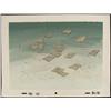 Image 1 : Animation Spongebob Art Papers Background Original