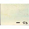 Image 2 : The Sand Original SpongeBob Background Animation Art