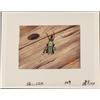 Image 1 : Magician Original Background SpongeBob Cel Animation