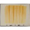 Image 1 : Production SpongeBob Background Art Original Yellow