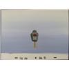Image 1 : Background Parking Meter Original SpongeBob Animation