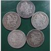 Image 1 : Lot of 5 Morgans- Silver Dollars