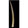 Image 4 : LARGE AFRICAN IVORY ELEPHANT TUSK w FACE