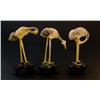 Image 4 : SET OF 3 ORIENTAL POLYCHROME IVORY BIRD FIGURES