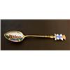 Image 4 : 16 SILVER & ENAMEL SOUVENIER COUNTRY SPOONS