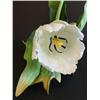 Image 2 : Boehm flower "Parrot Tulip" 