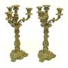 Image 1 : Pair dore bronze ornate candelabrum 